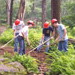 Volunteer